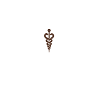 Lart-naturel_Logo-neg